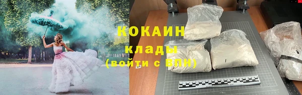 сатива Иннополис