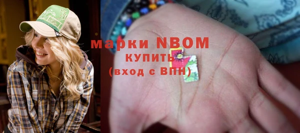 сатива Инта