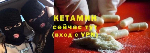сатива Инта