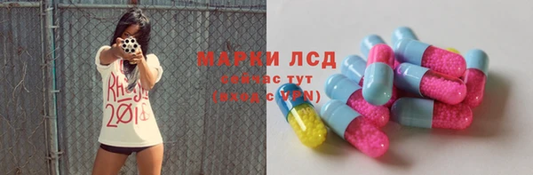 сатива Инта
