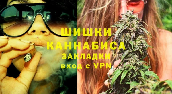 сатива Иннополис