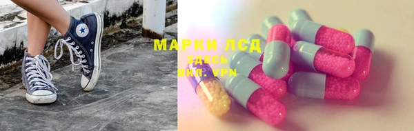 сатива Инта
