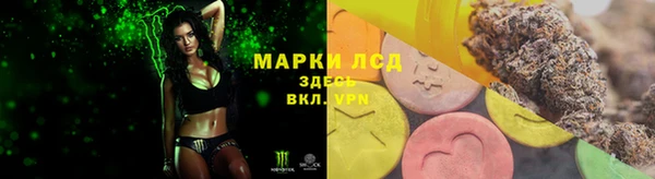 сатива Иннополис