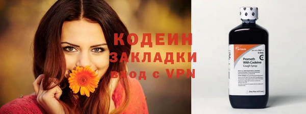 сатива Инта