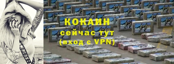 сатива Инта